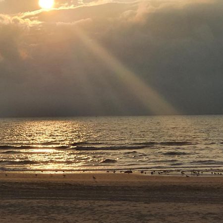 Scheveningen Sea Side Bed & Breakfast กรุงเฮก ภายนอก รูปภาพ