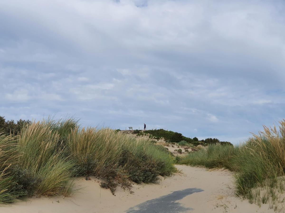 Scheveningen Sea Side Bed & Breakfast กรุงเฮก ภายนอก รูปภาพ