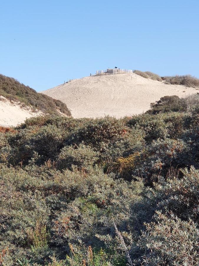 Scheveningen Sea Side Bed & Breakfast กรุงเฮก ภายนอก รูปภาพ