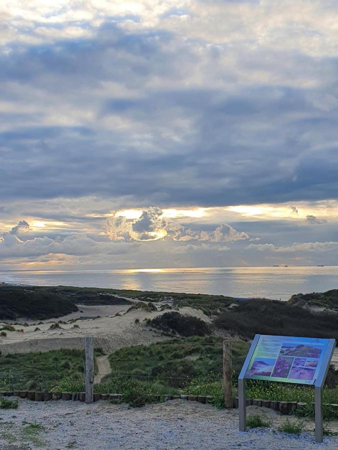 Scheveningen Sea Side Bed & Breakfast กรุงเฮก ภายนอก รูปภาพ
