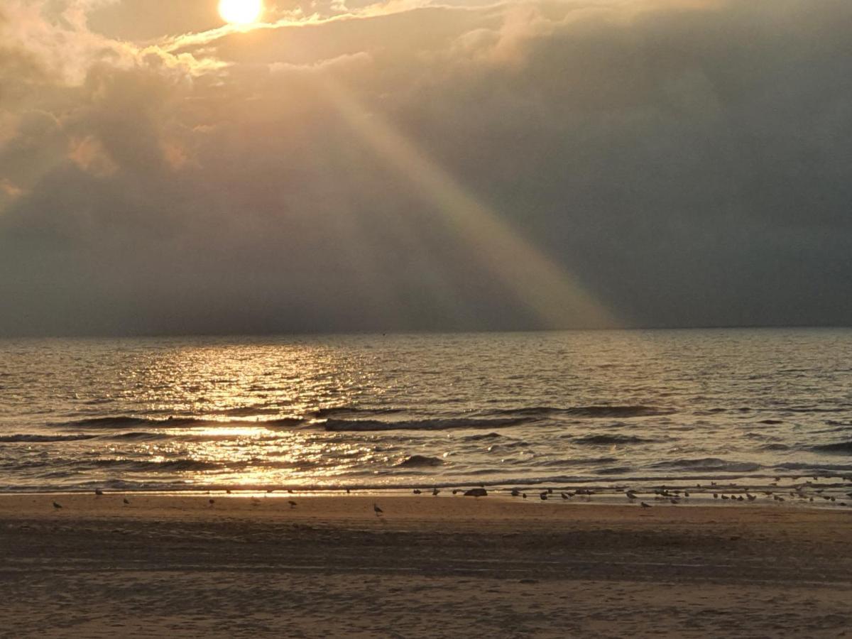 Scheveningen Sea Side Bed & Breakfast กรุงเฮก ภายนอก รูปภาพ